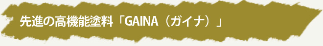 先進の高機能塗料「GAINA（ガイナ）」